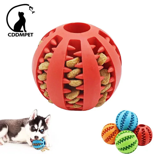 Amazing Dog Ball Toy – Interactive, Elastic, and Ideal for Chewing and Cleaning!