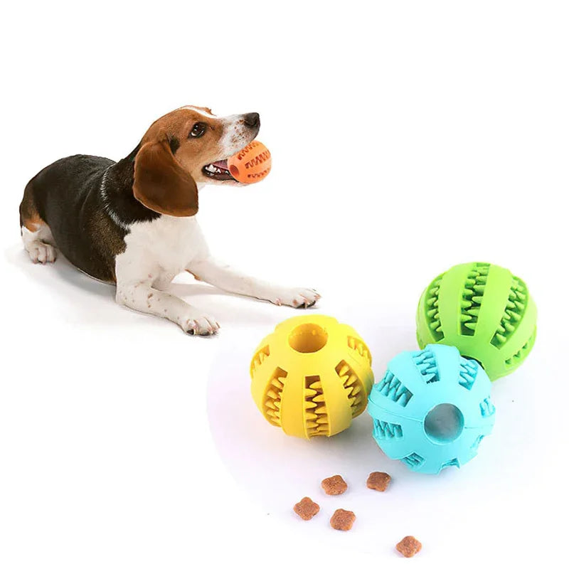 Amazing Dog Ball Toy – Interactive, Elastic, and Ideal for Chewing and Cleaning!