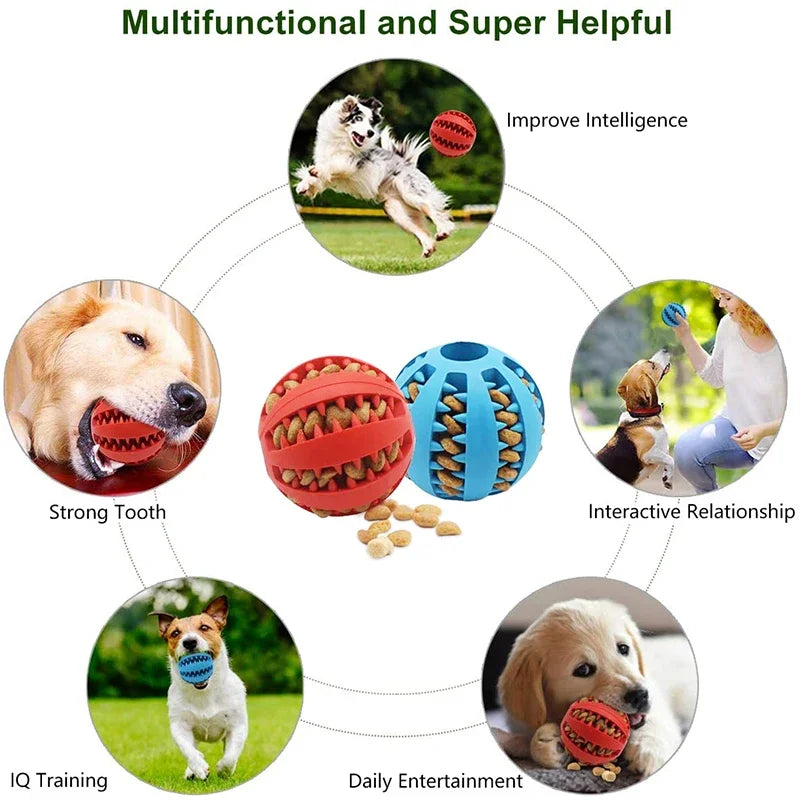 Amazing Dog Ball Toy – Interactive, Elastic, and Ideal for Chewing and Cleaning!