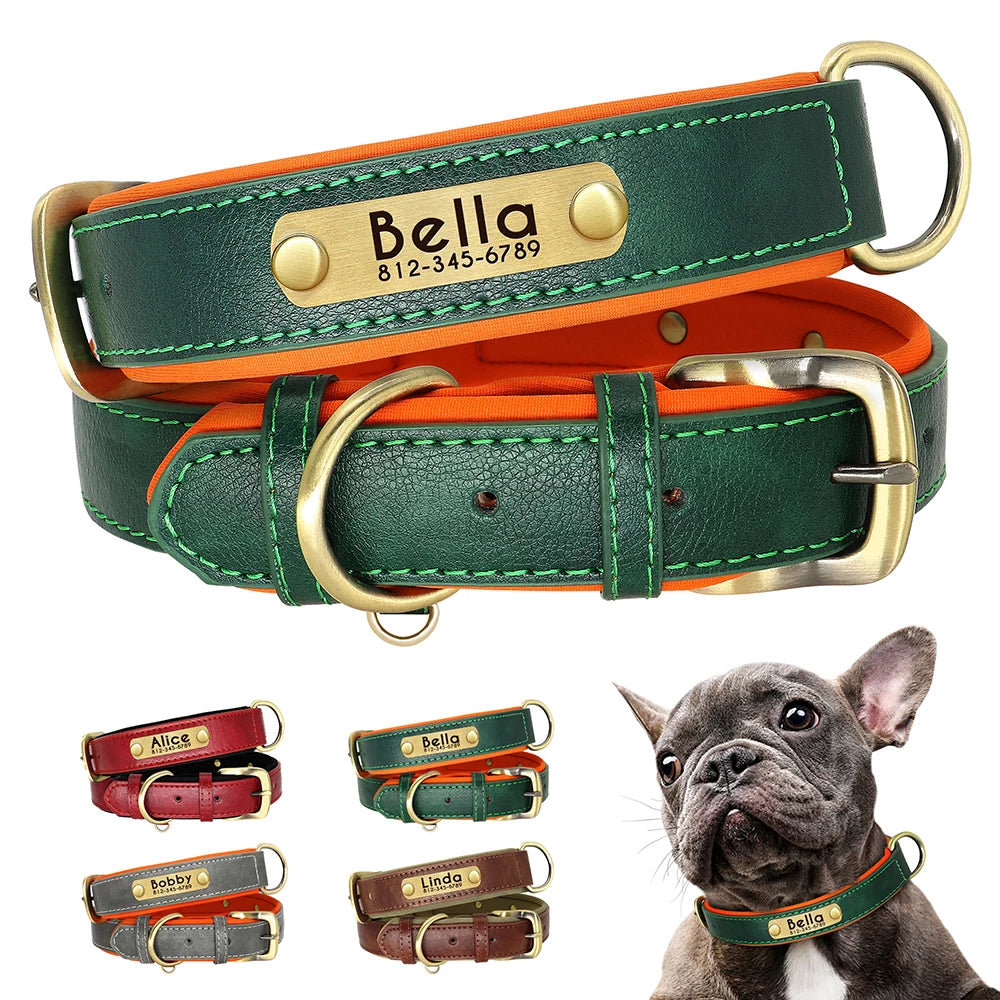 Premium Customized Leather Dog Collar – Soft, Padded, and Engraved for All Sizes