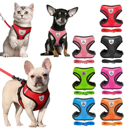 Essential Breathable Mesh Small Dog Harness – Ideal for French Bulldogs, Chihuahuas, Pugs