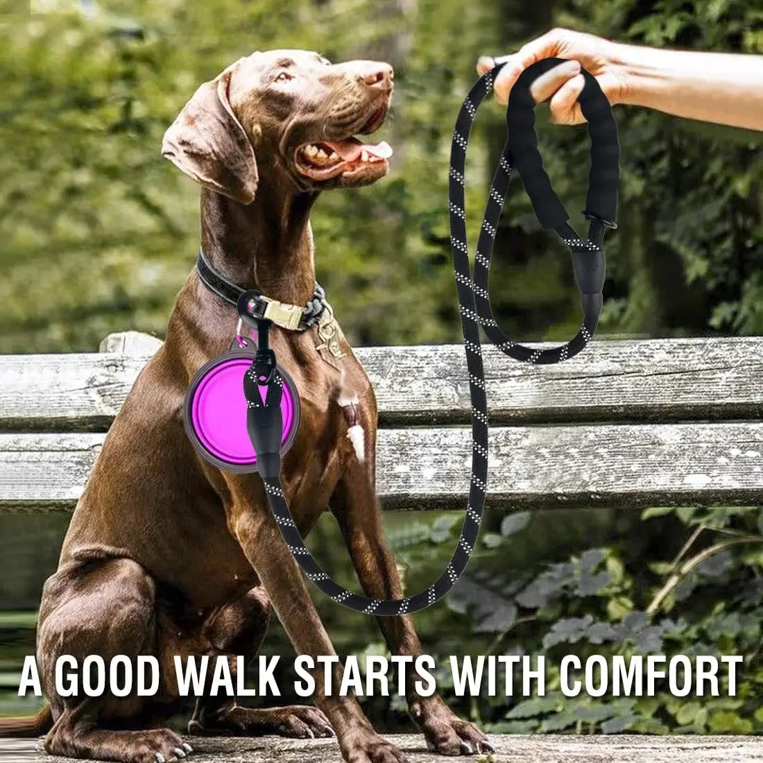 Ultimate Dog Leash: Reflective, Heavy-Duty for Big, Medium, and Small Dogs